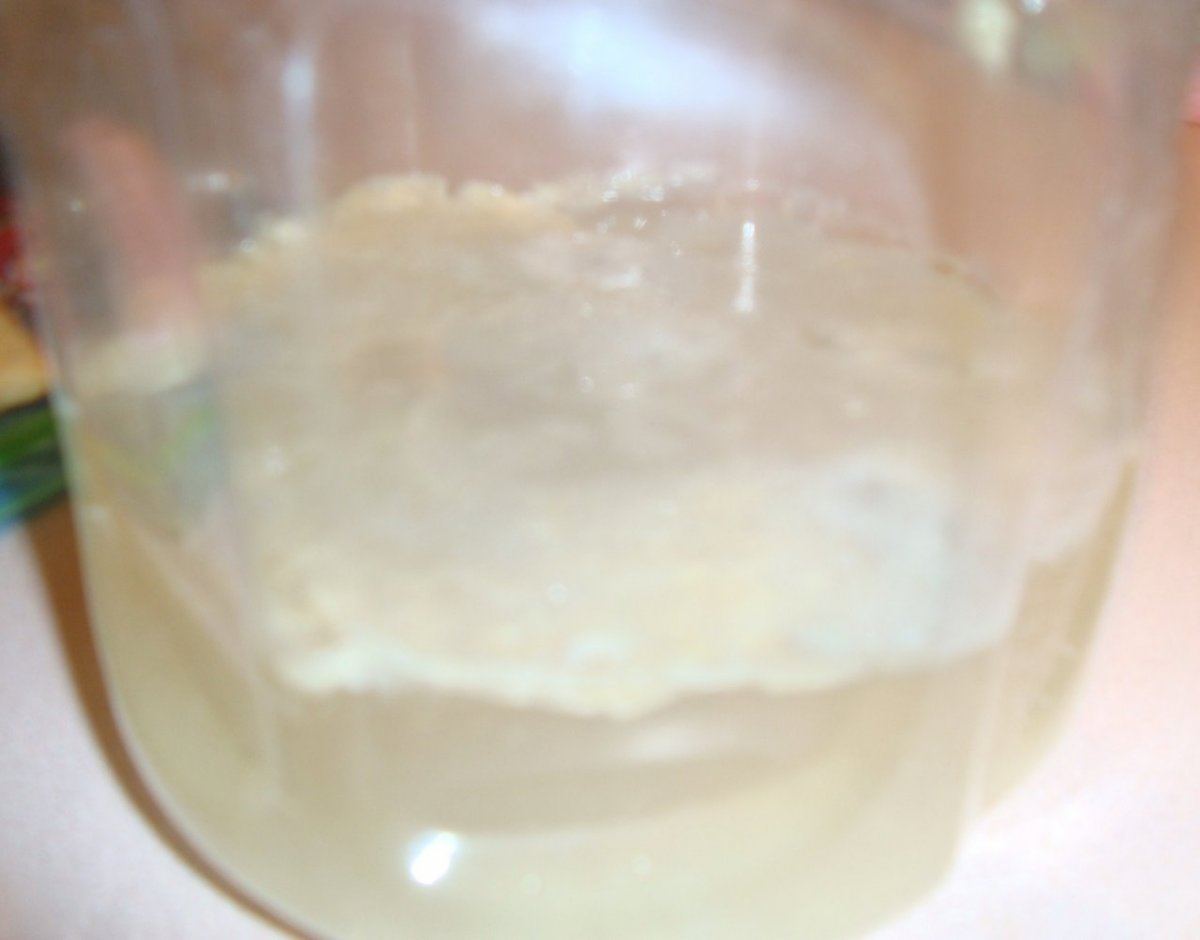 DSC04162