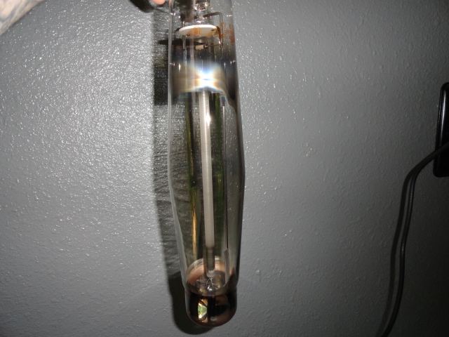 DSC04183