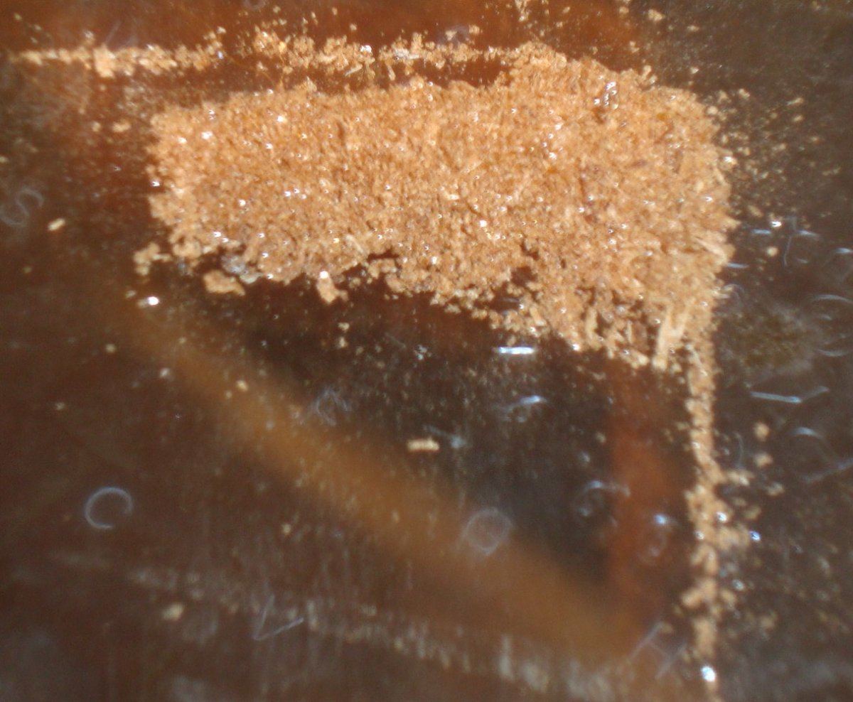 DSC04188
