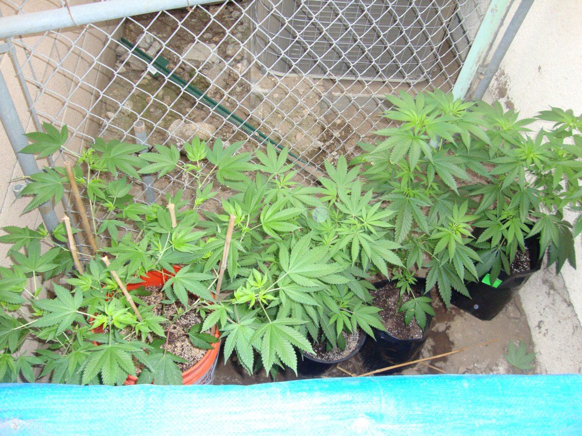 DSC04470