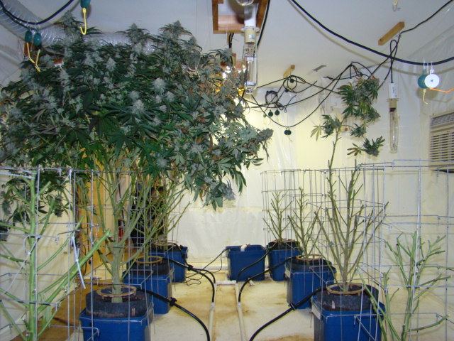 DSC04679