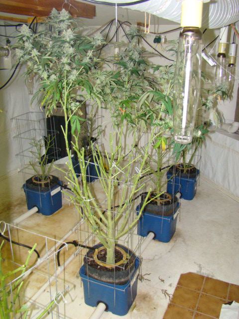 DSC04693