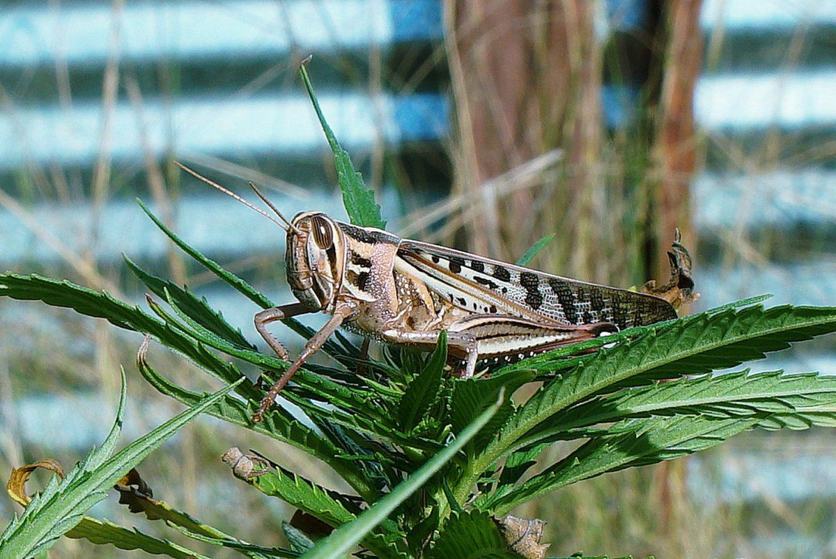 DSC04802s