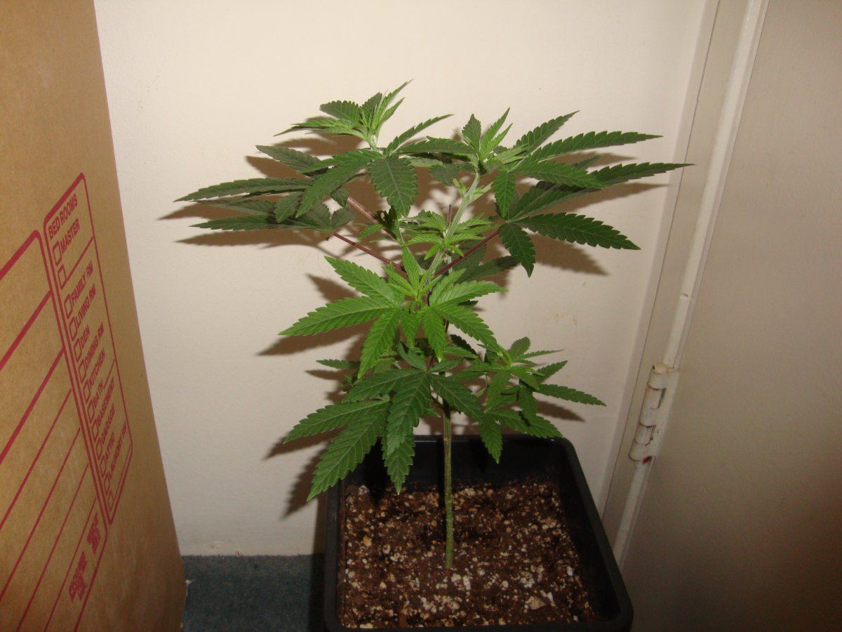 DSC05162