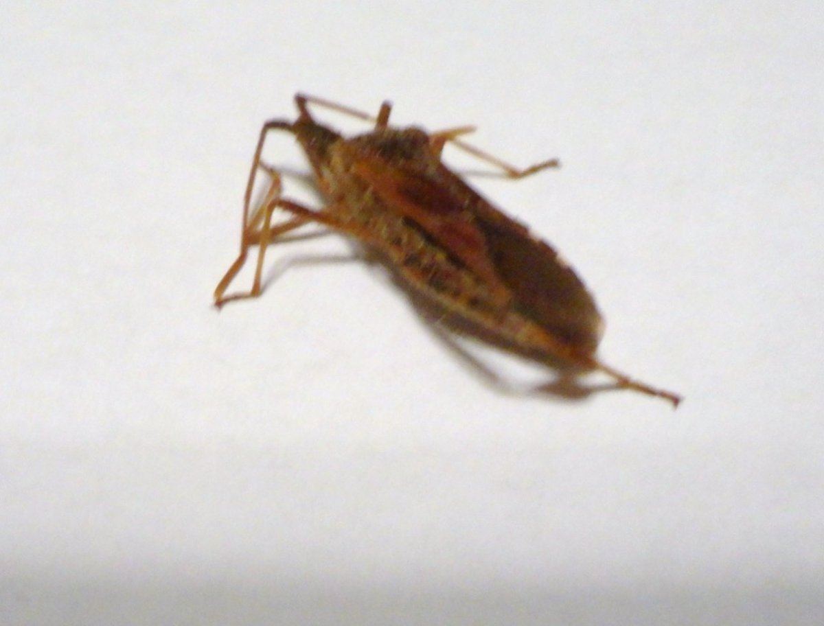 DSC05375