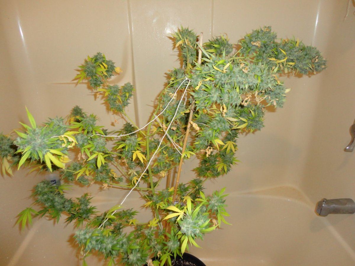 DSC05472