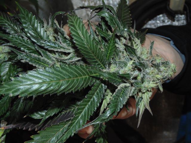 DSC05777