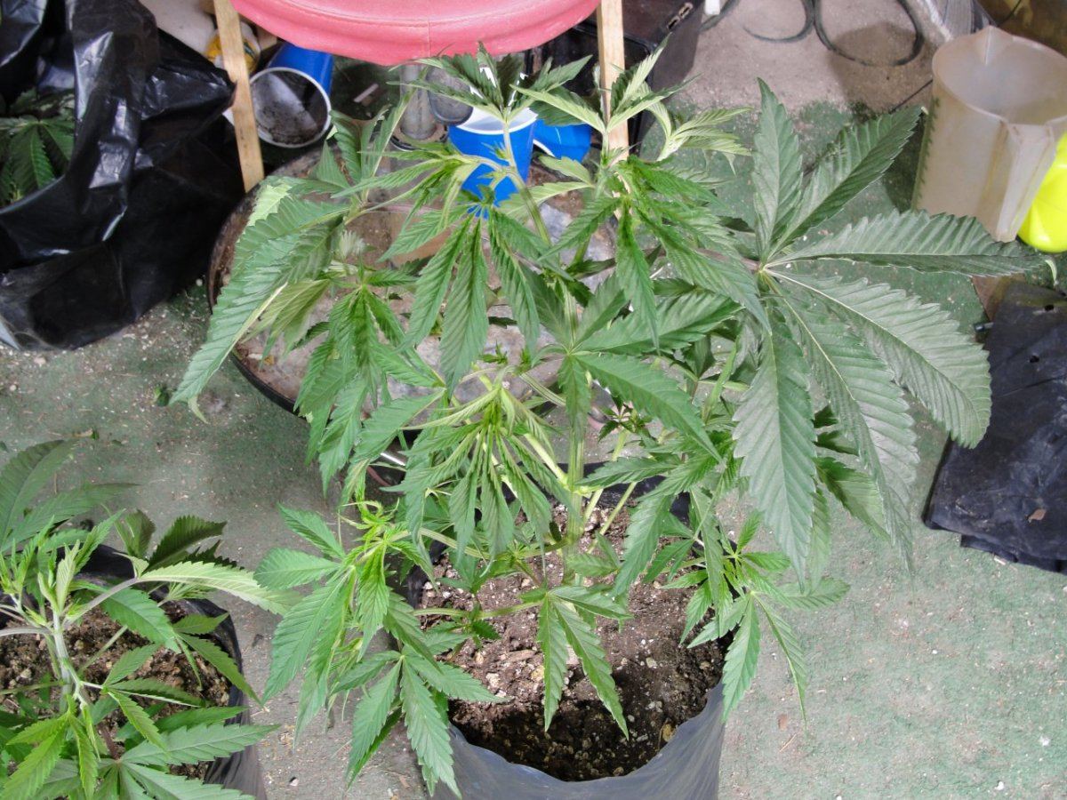 DSC05811