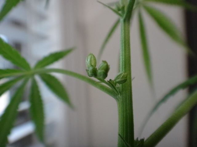 DSC07160