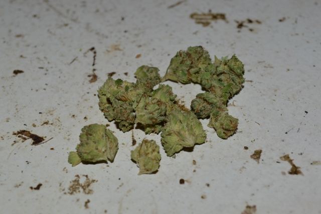 DSC 0004 640x426