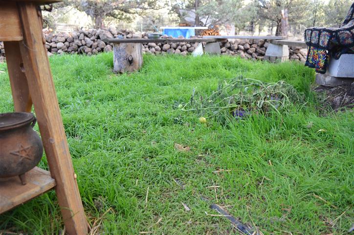 DSC 0014 Small
