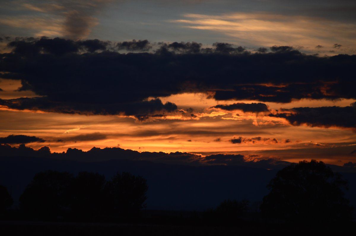 DSC 0030