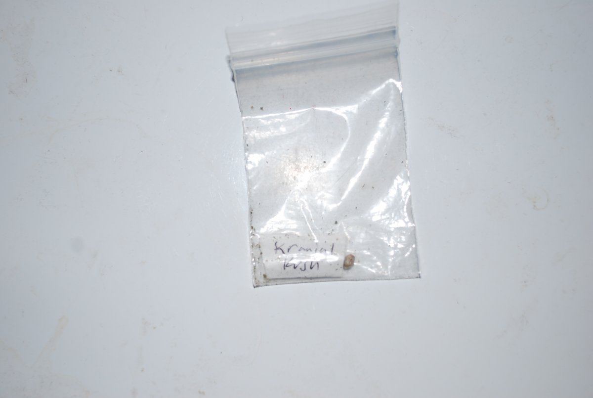 DSC 0034