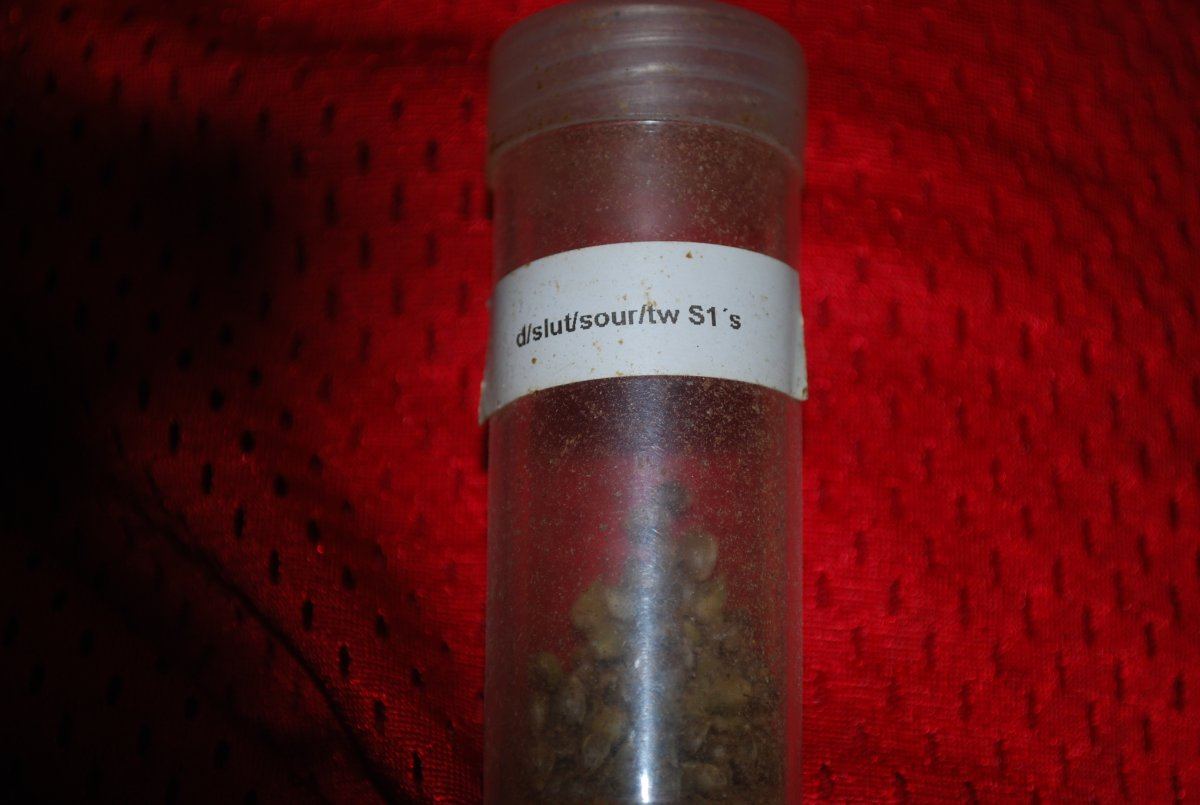 DSC 0070