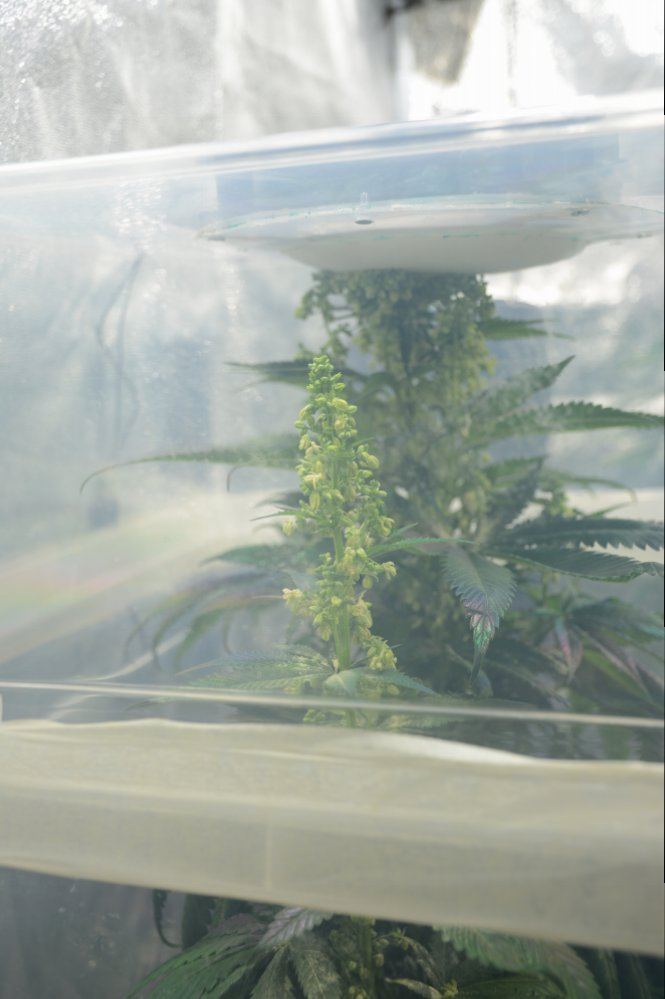 DSC 0074