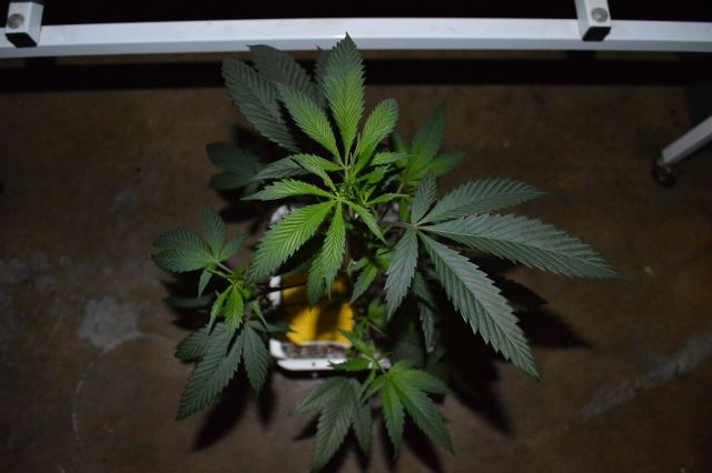 DSC 0189 640x426