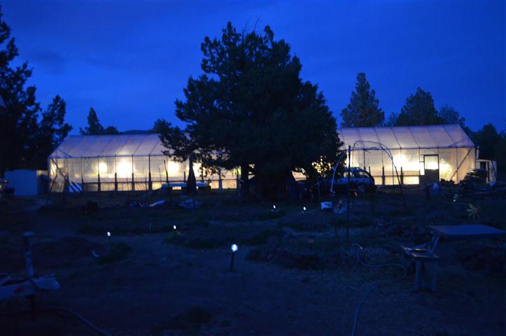 DSC 0213
