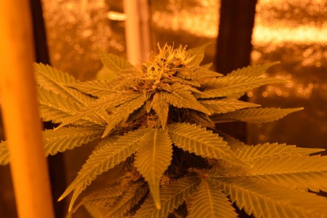 DSC 0265 640x426