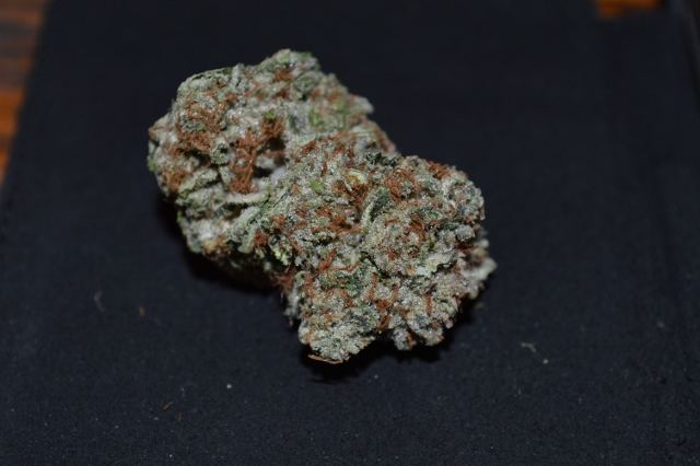 DSC 0324 640x426
