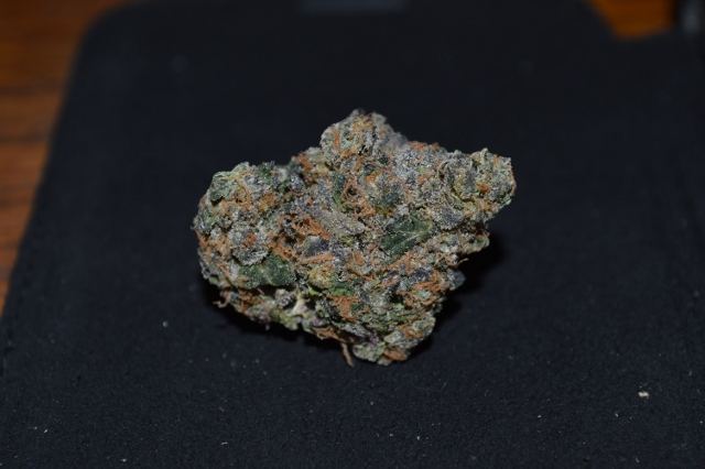 DSC 0360 640x426