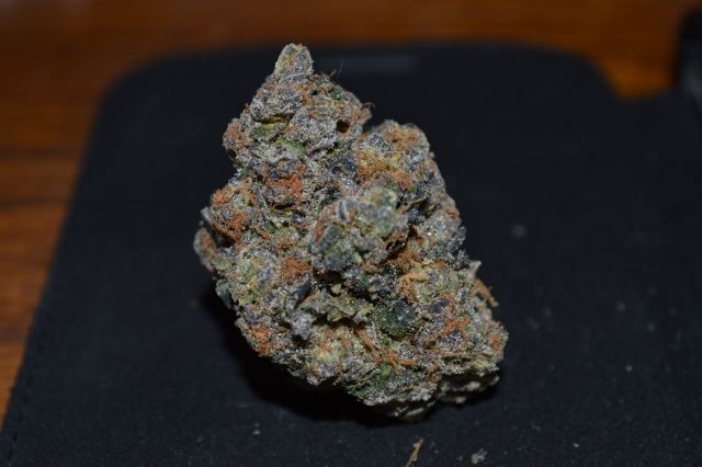 DSC 0364 640x426