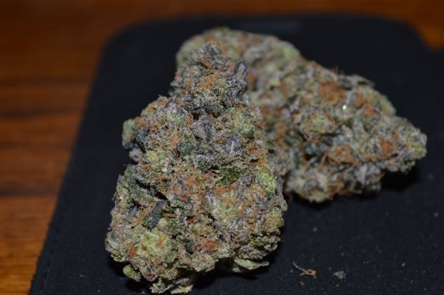 DSC 0366 640x426