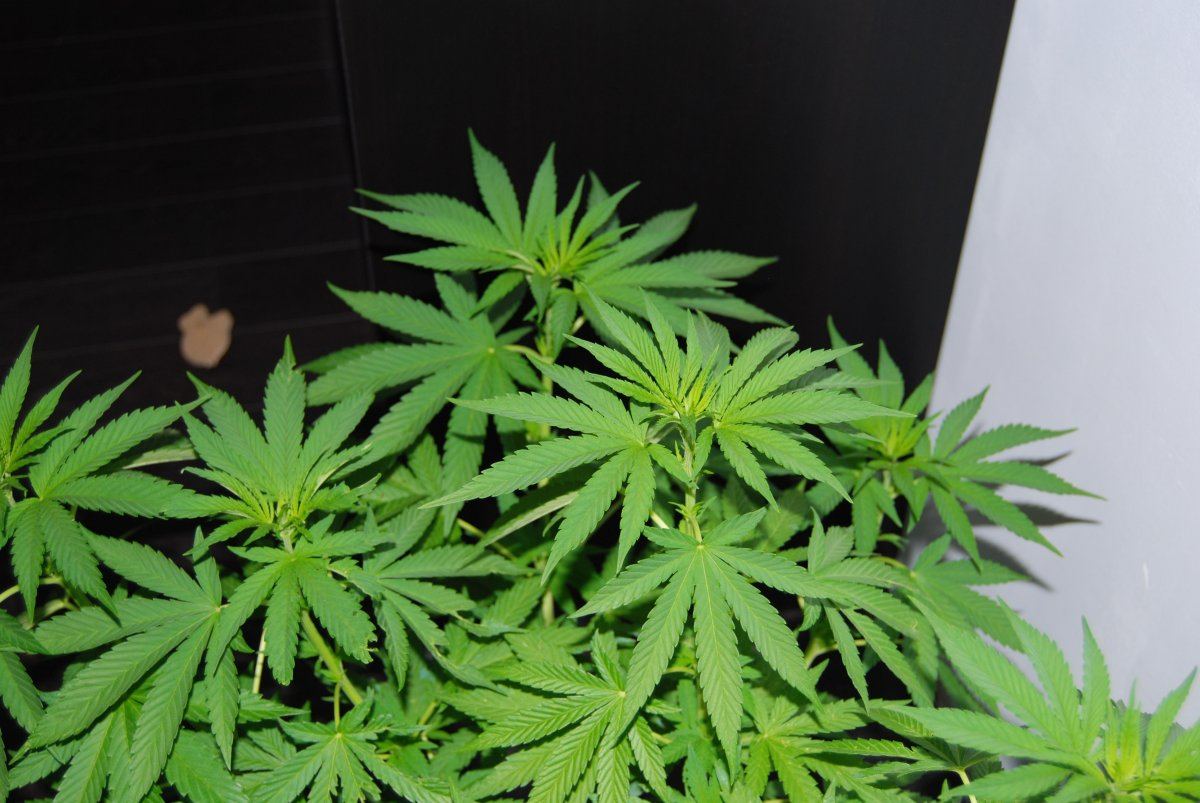 DSC 0605