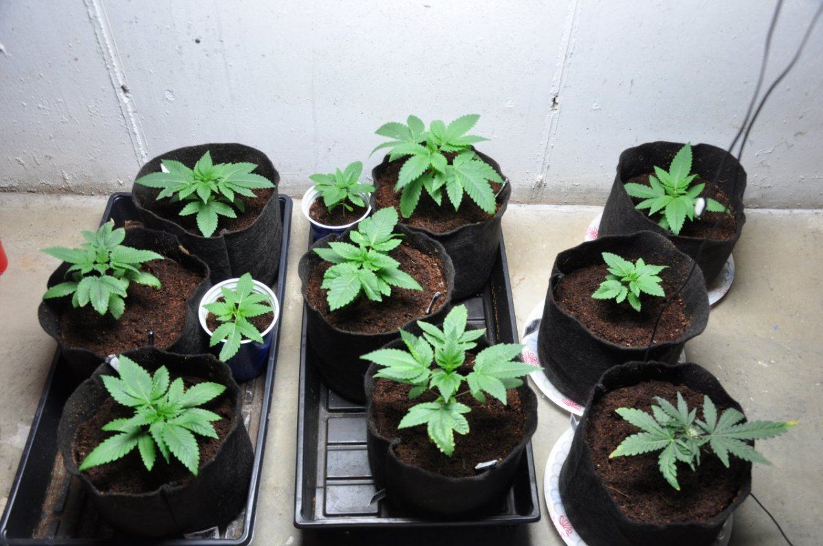 DSC 0691