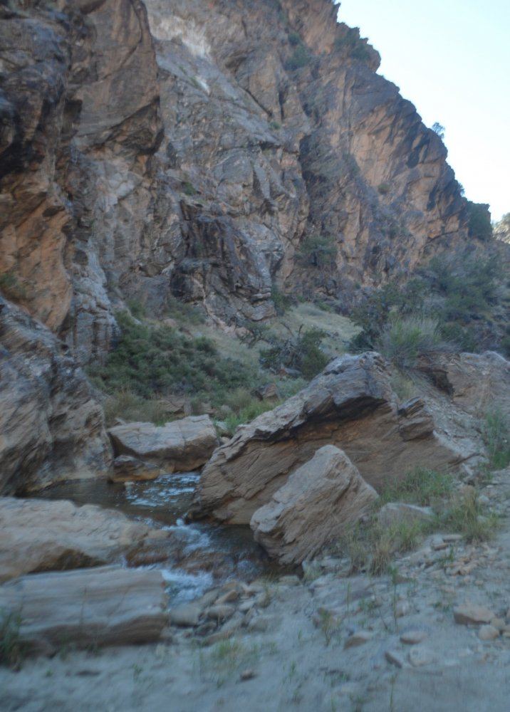 DSC 0767 2