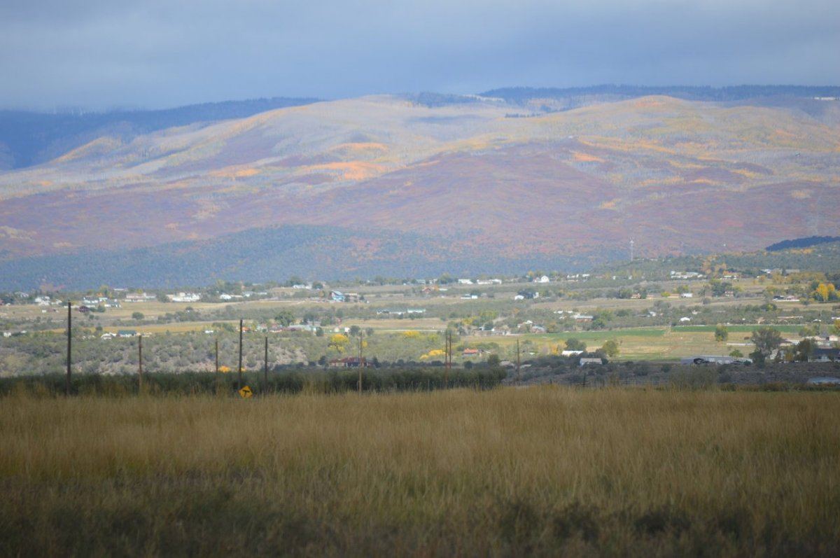 DSC 0916