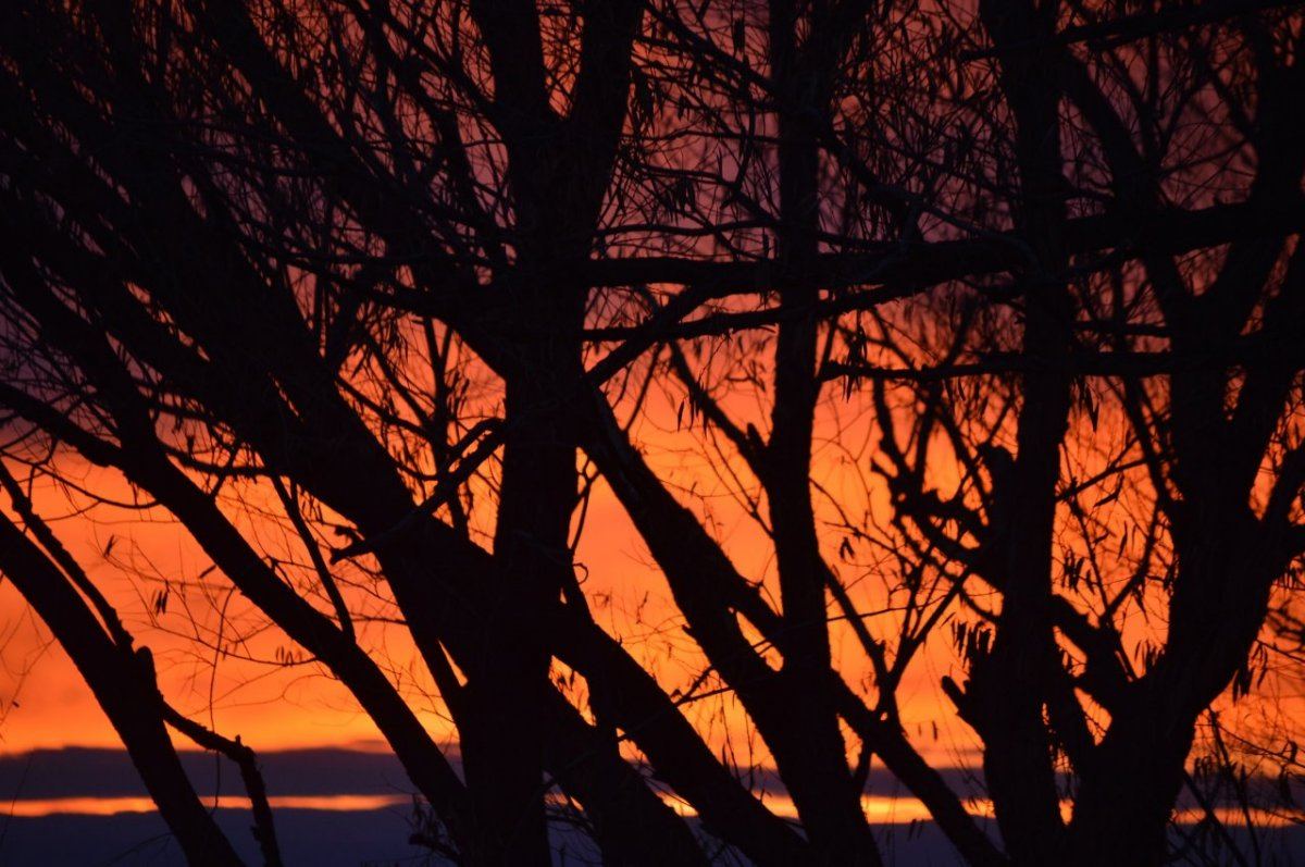 DSC 0943