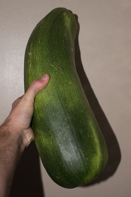 DSC 2137