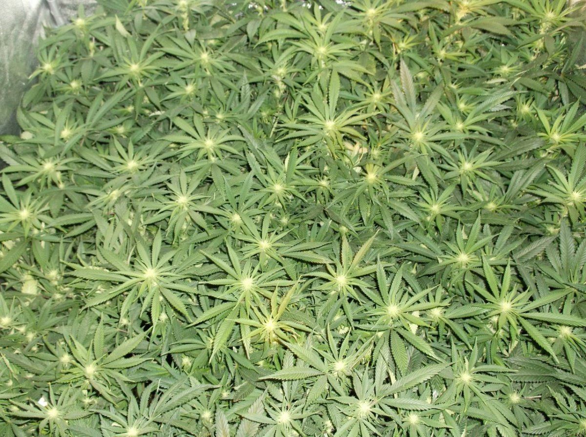 DSCF0029