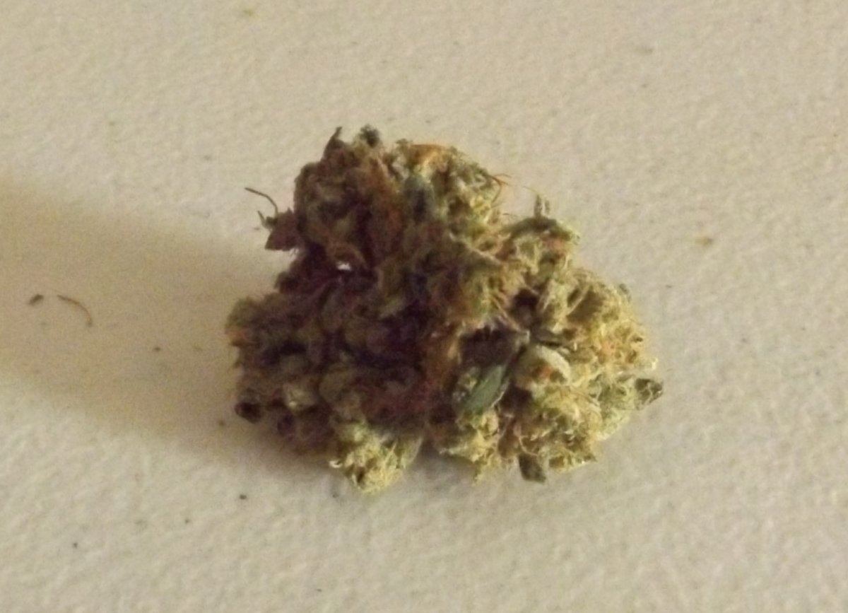 DSCF0133