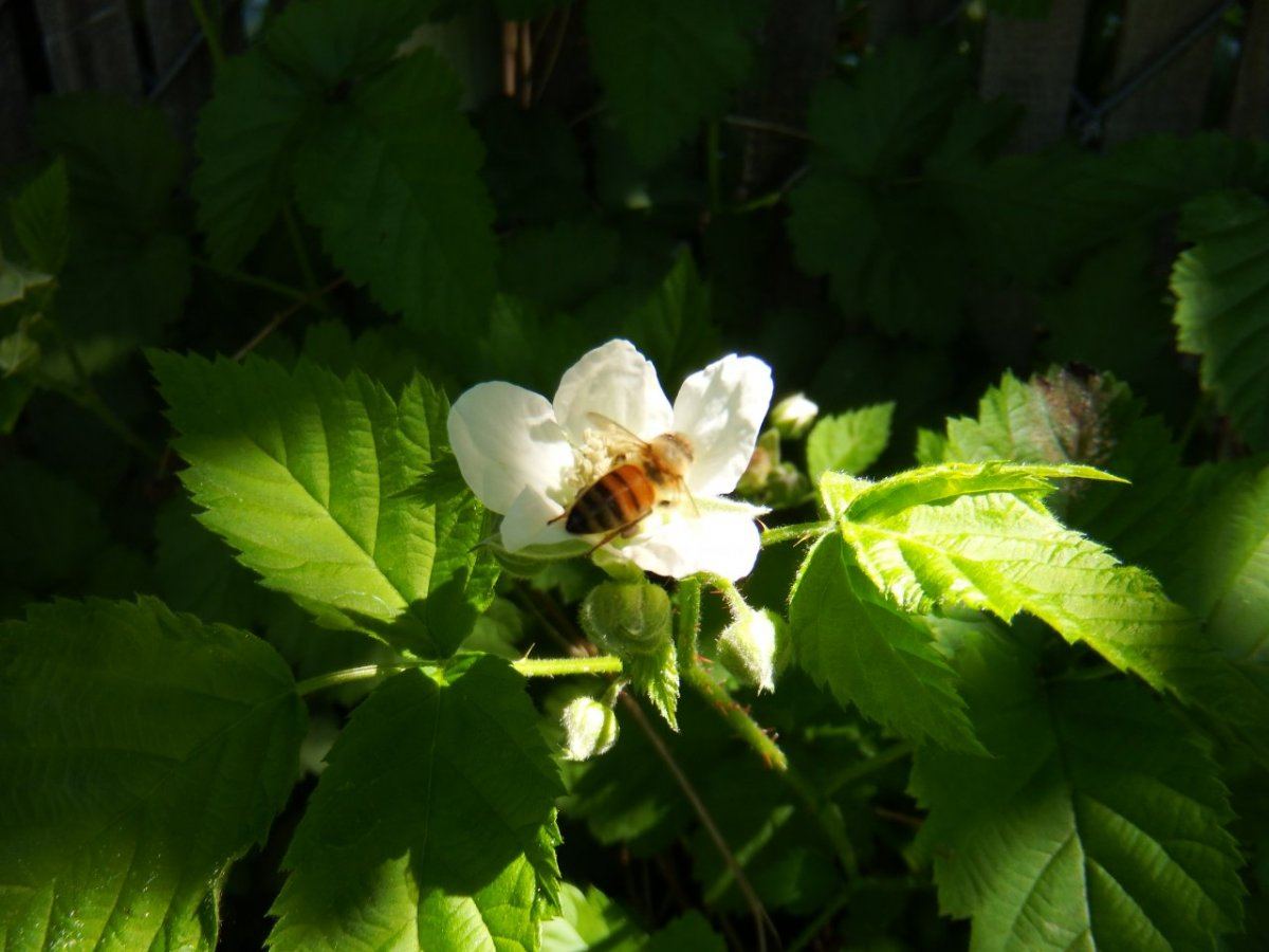 DSCF0295