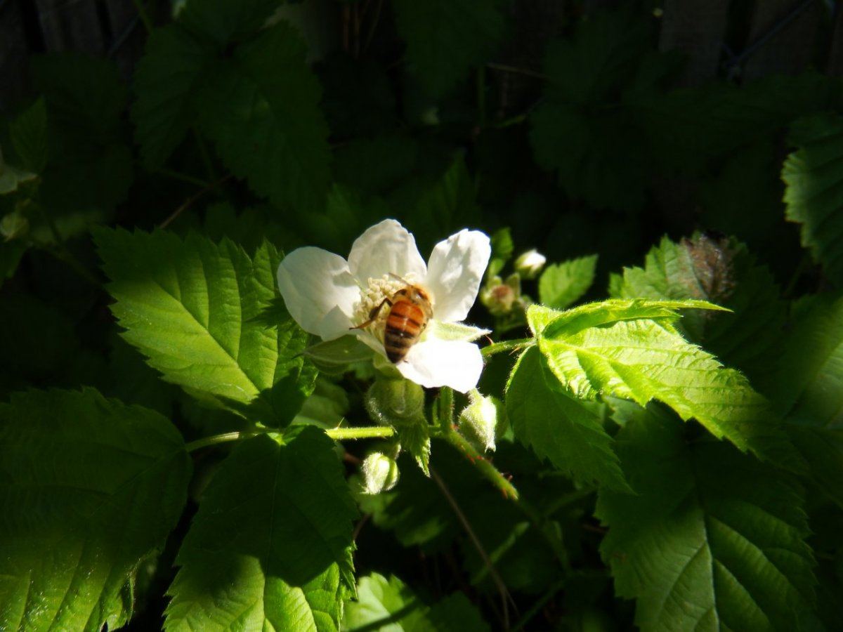 DSCF0296