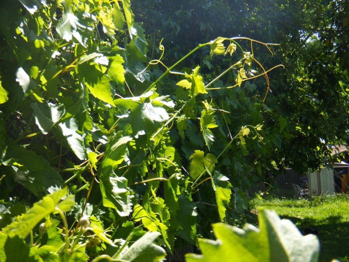 DSCF0299