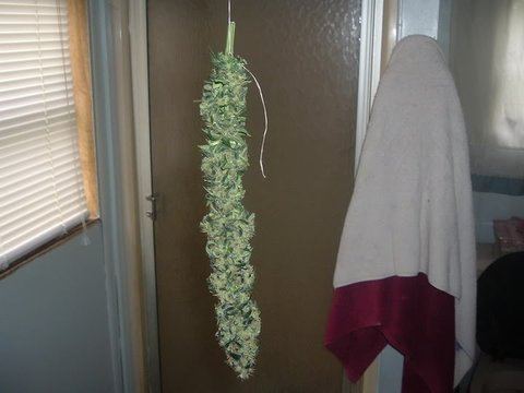 DSCF1167