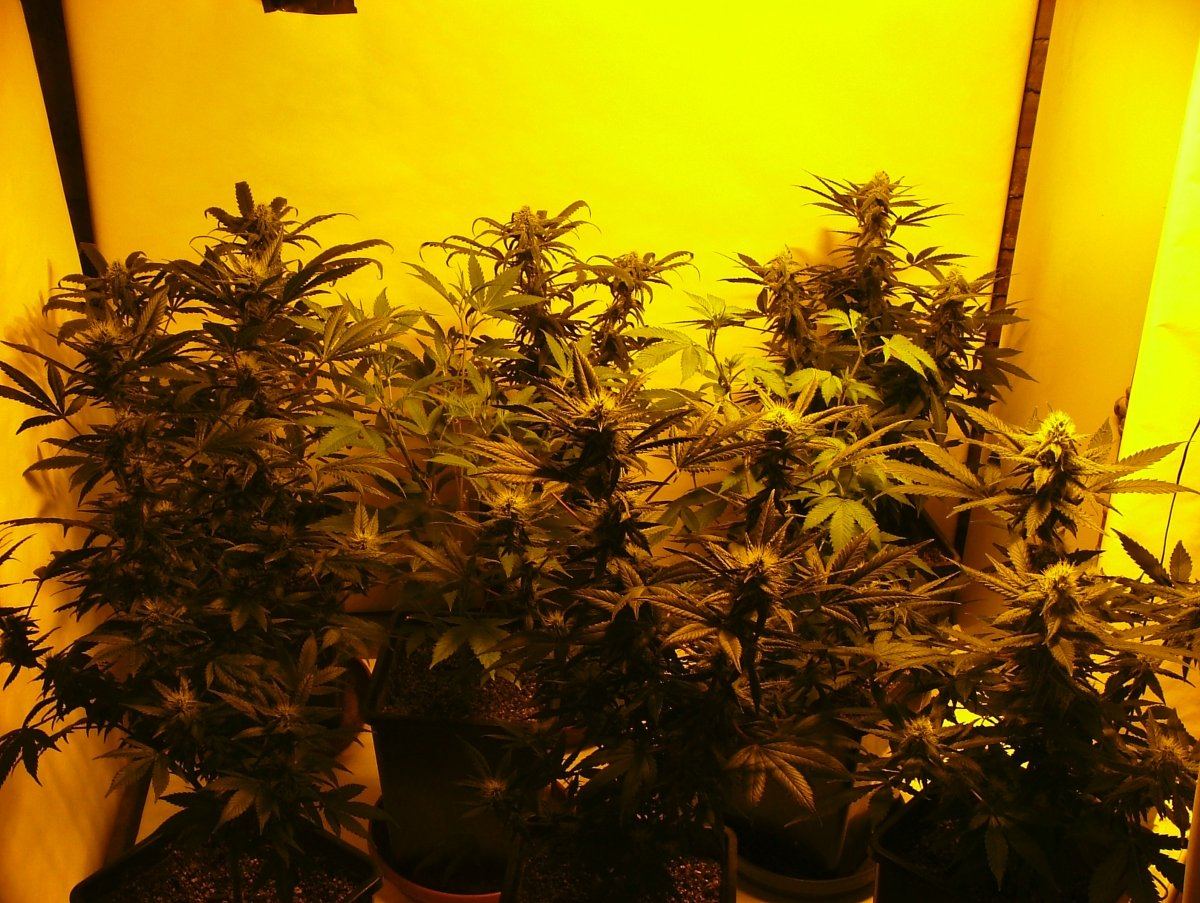 DSCF1304
