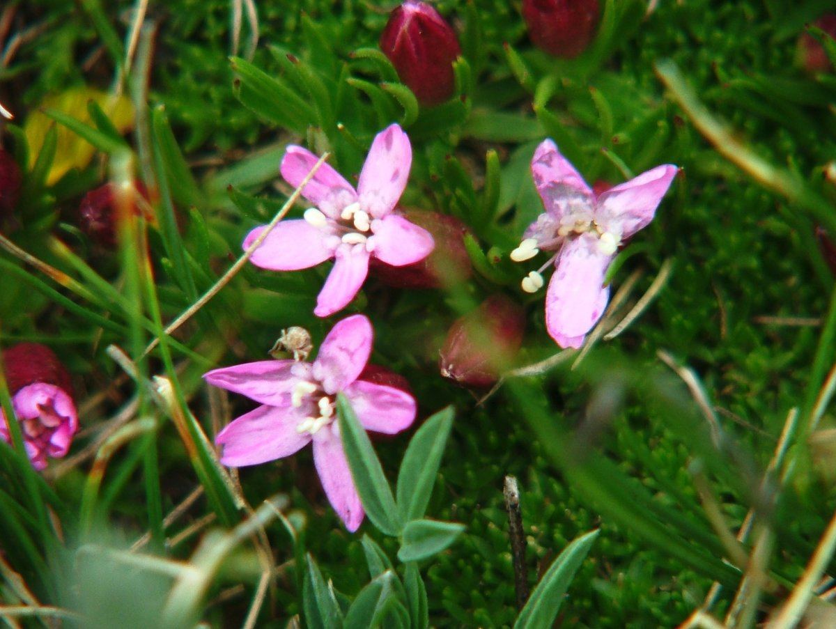 DSCF1407