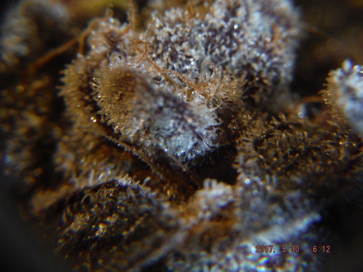 DSCF17961