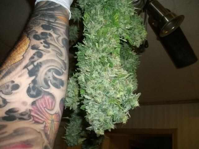 DSCF2746