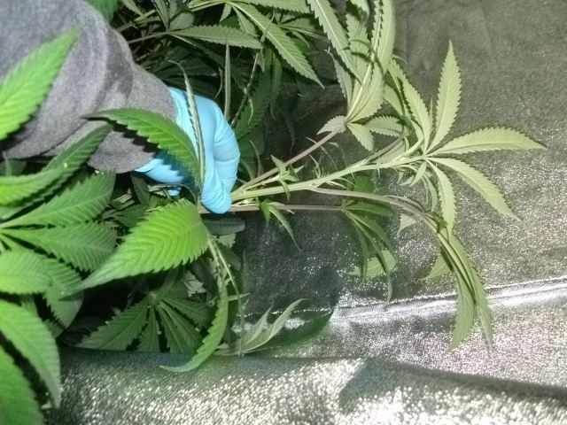 DSCF2765