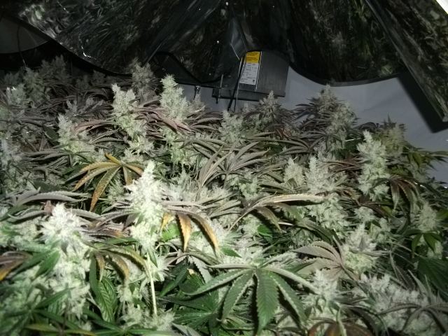 DSCF2863