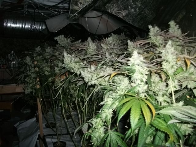 DSCF2864