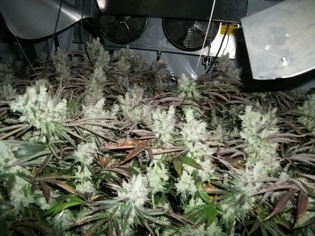 DSCF2865