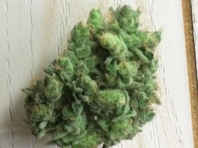 DSCF3471