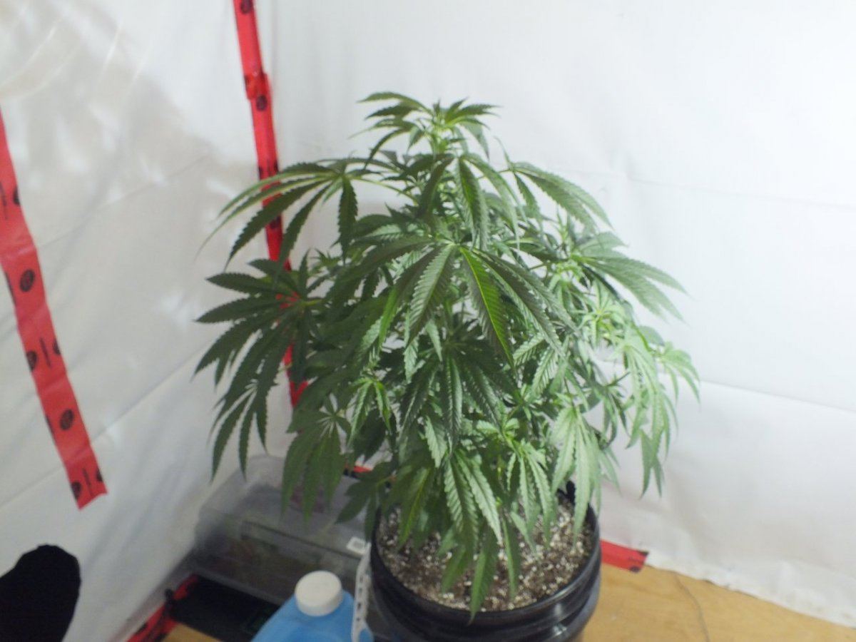 DSCF4149