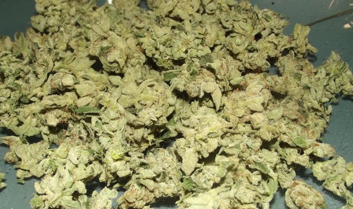 DSCF4169