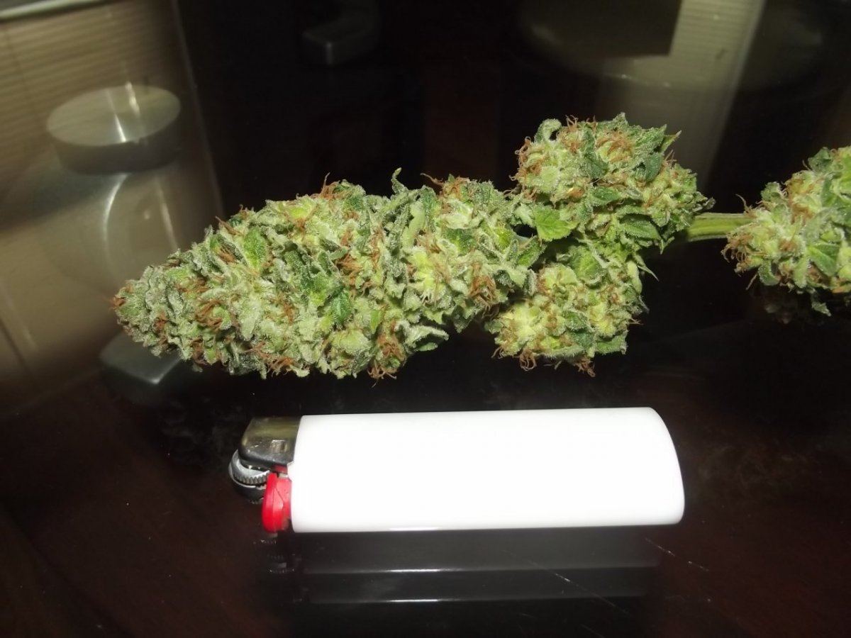 DSCF5280